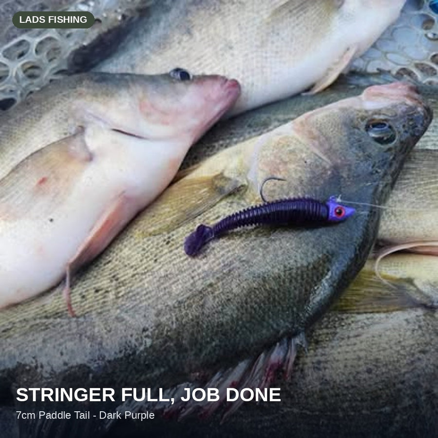 7cm Paddle Tail - 8 Pack