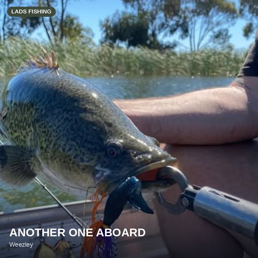 Side'b'Side Spinnerbait