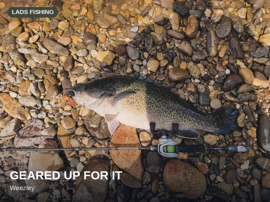 Side'b'Side Spinnerbait