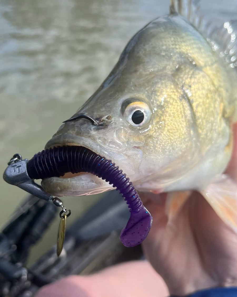 7cm Paddle Tail - 8 Pack