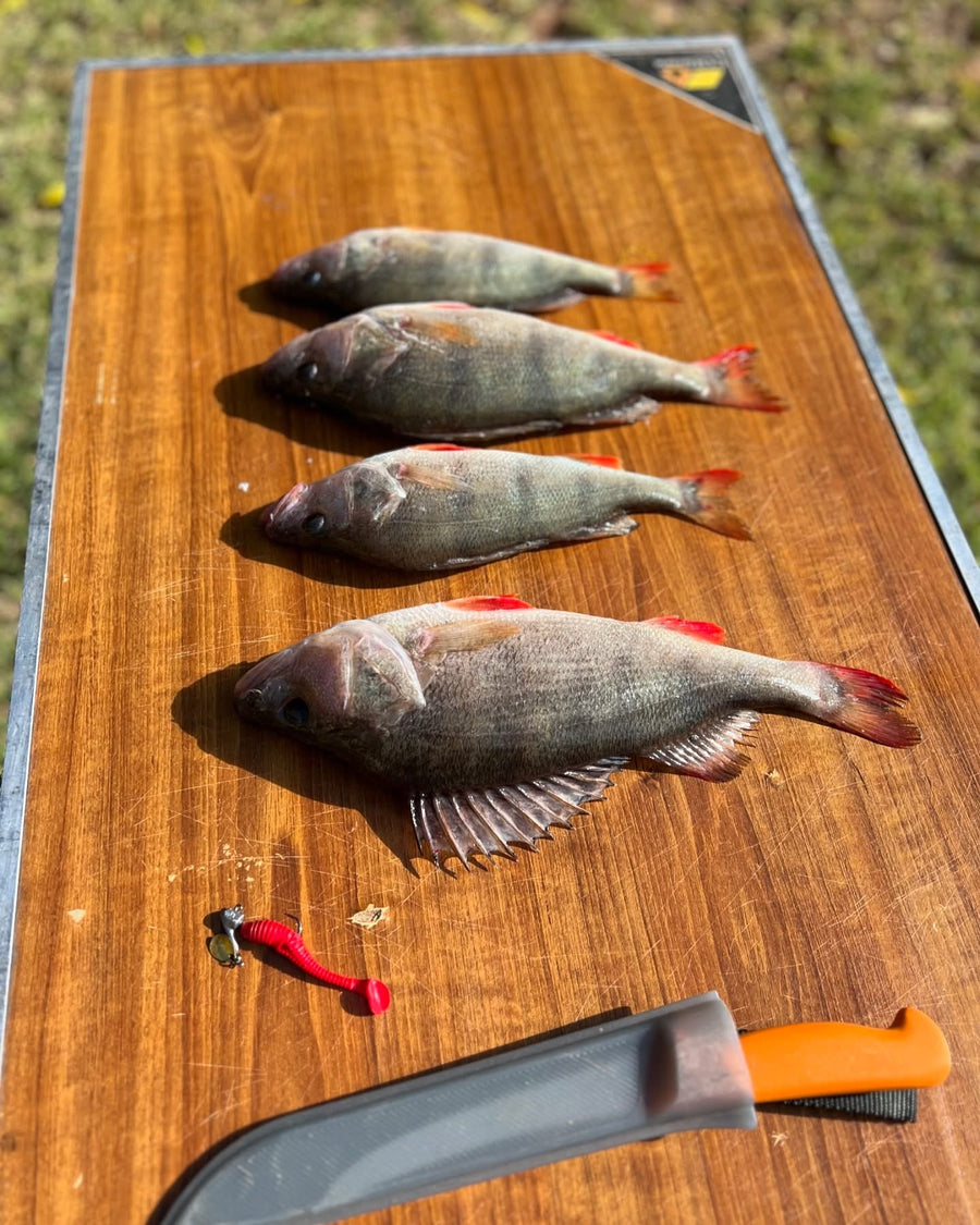 7cm Paddle Tail - 8 Pack
