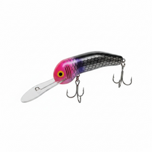 Boofhead Bundle - Buy 5 Get 2 Free