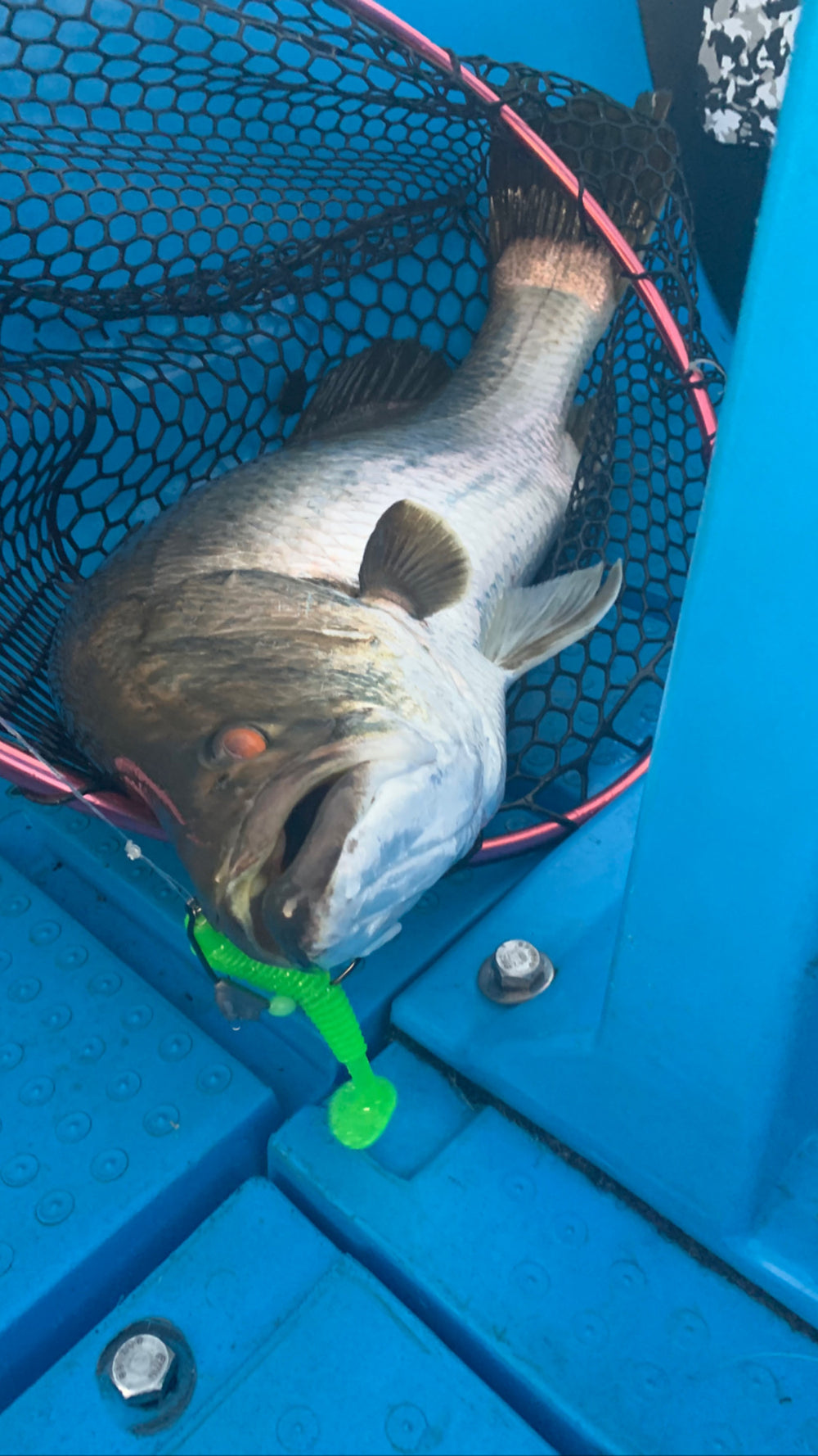 Cod netted on the 12cm Paddle Tail