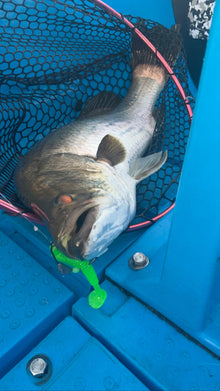 12cm Paddle Tail- Pack of 5