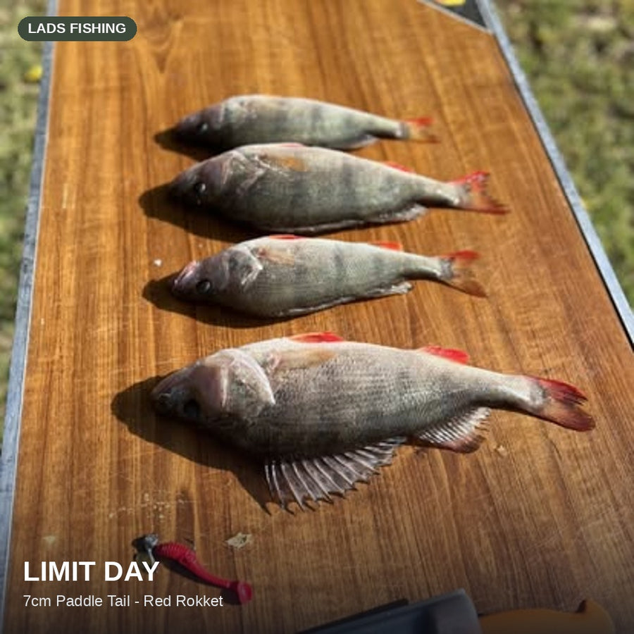 7cm Paddle Tail - 8 Pack