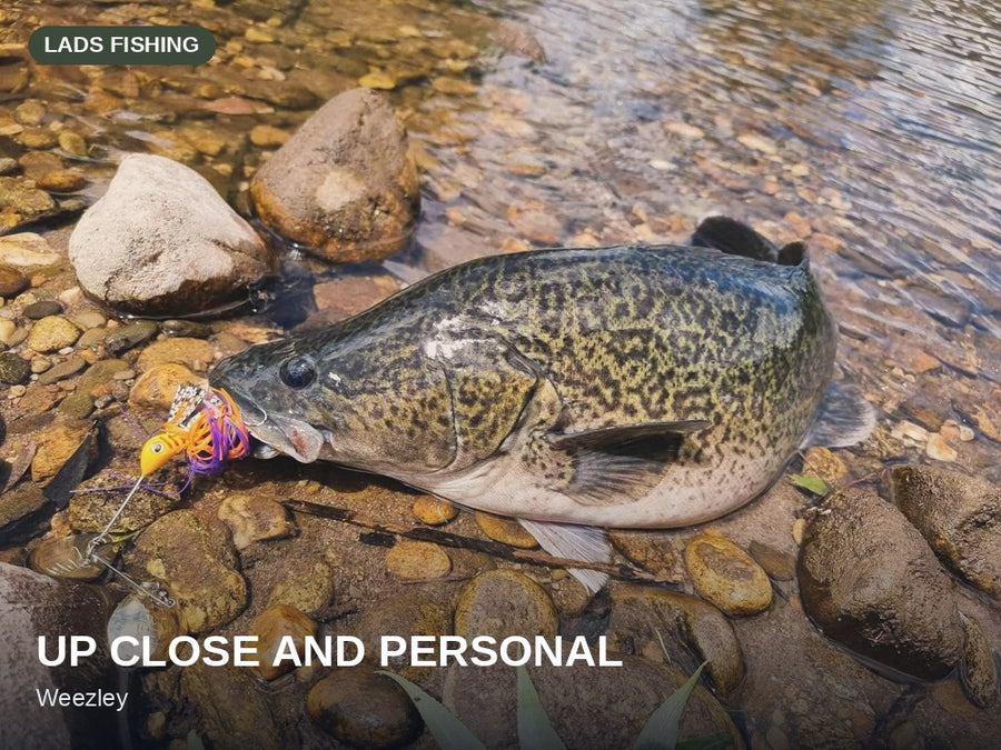 Side'b'Side Spinnerbait