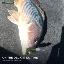 7cm Paddle Tail - 8 Pack
