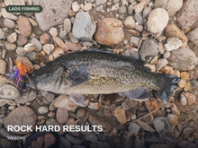 Side'b'Side Spinnerbait