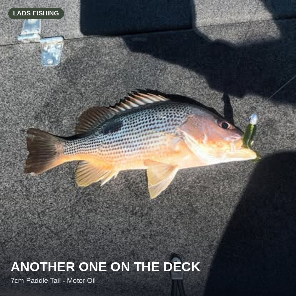 Another one on the deck — caught on the Motor Oil 7cm Paddle Tail